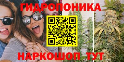 гашик Малгобек