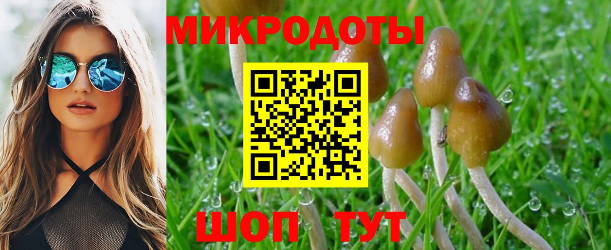 Псилоцибиновые грибы ЛСД Зеленодольск